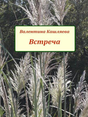 cover image of Встреча